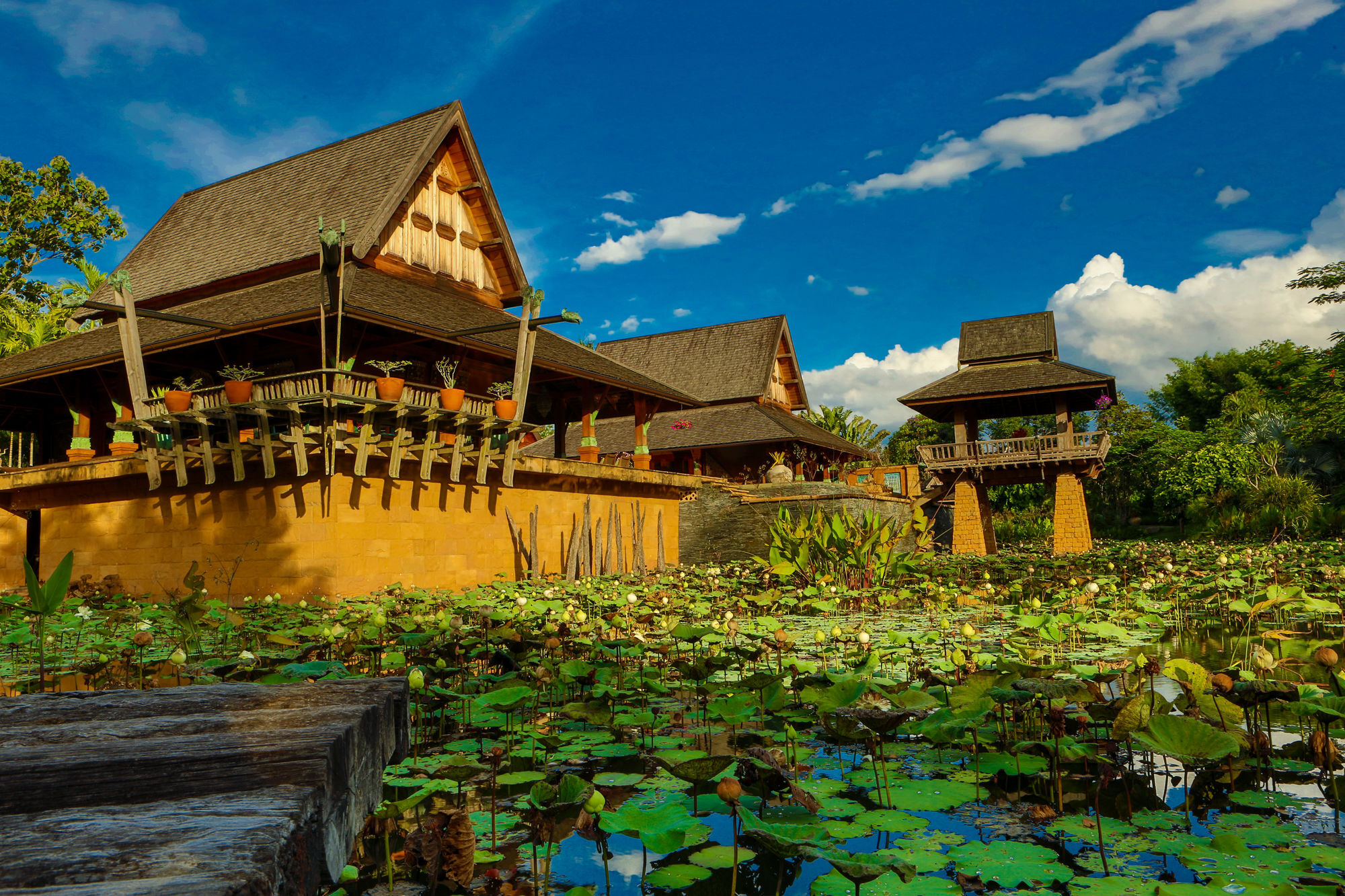 Howie'S Homestay Mae Rim Exterior foto